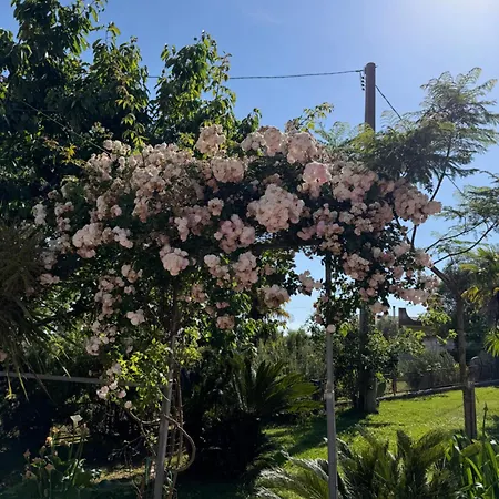 A Casa di nonna Emilia-2